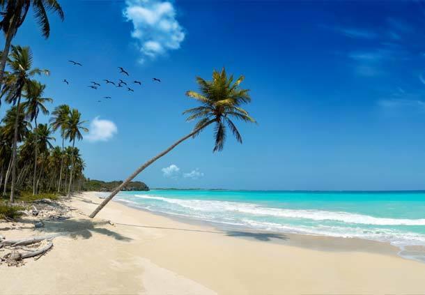 Mangro Hotel Diani Beach Zewnętrze zdjęcie